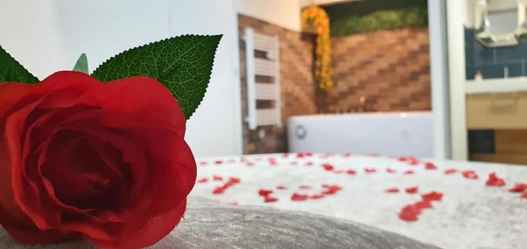 Love Rooms De La Presqu'Ile Saint-Vincent-de-Paul  Esterno foto